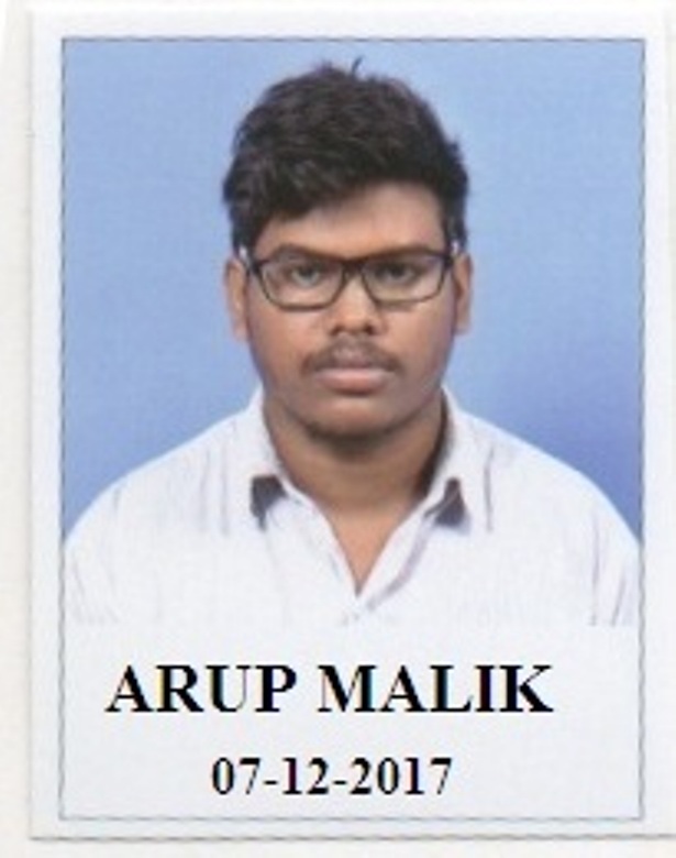  ARUP MALIK 