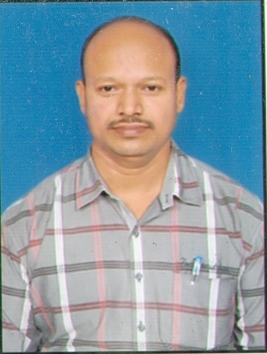 N. RAMANJANEYA REDDY