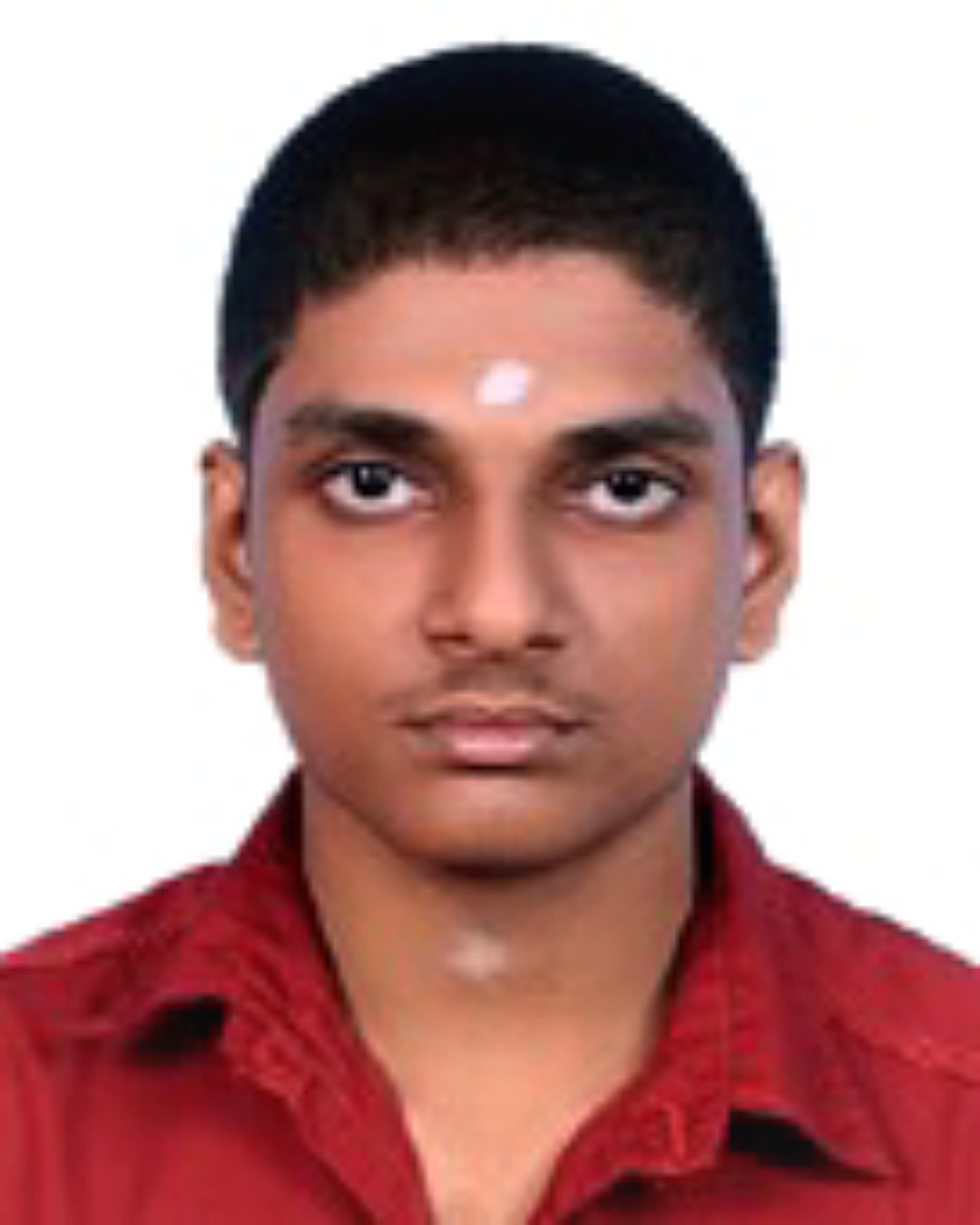 VISHNU NARAYAN P S